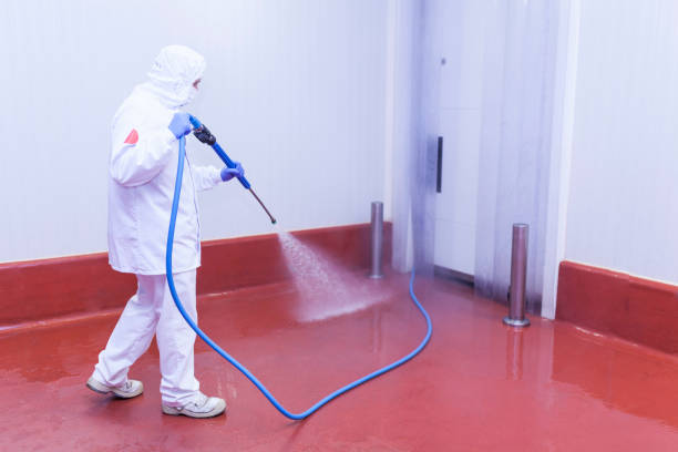 Best Rust Removal  in Pine Mountain Lake, CA